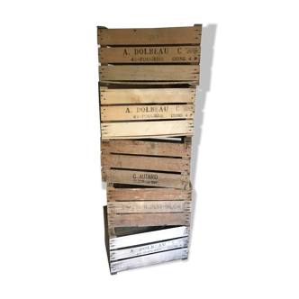 Lot of 5 old fruit crates with footprints