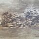 Old wooden top