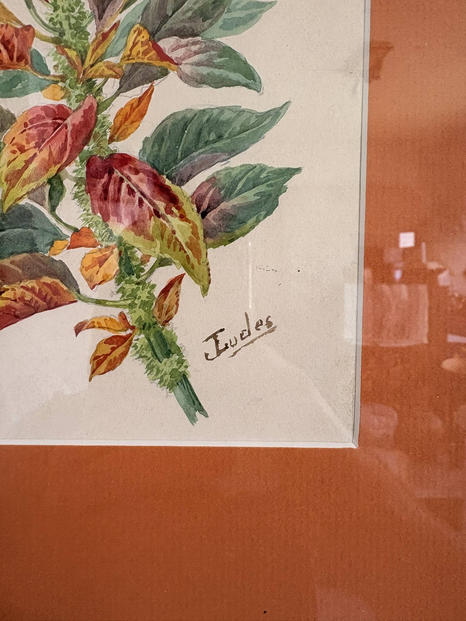 Tableau Aquarelle Iconographie Fleurs Naturalisme Amarante Tricolore Natura