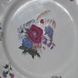 7 plates Sarreguemines Agreste