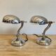 Shell lamps