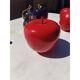 Vintage fruit set in resin and earthenware