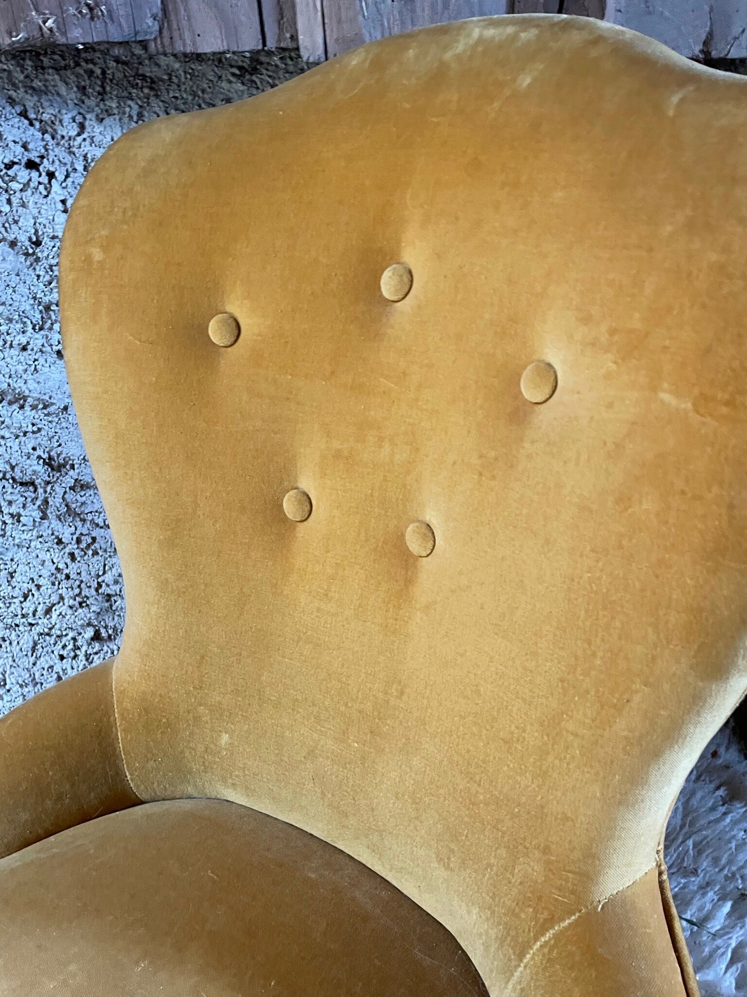 Toad armchair in vintage mustard velvet