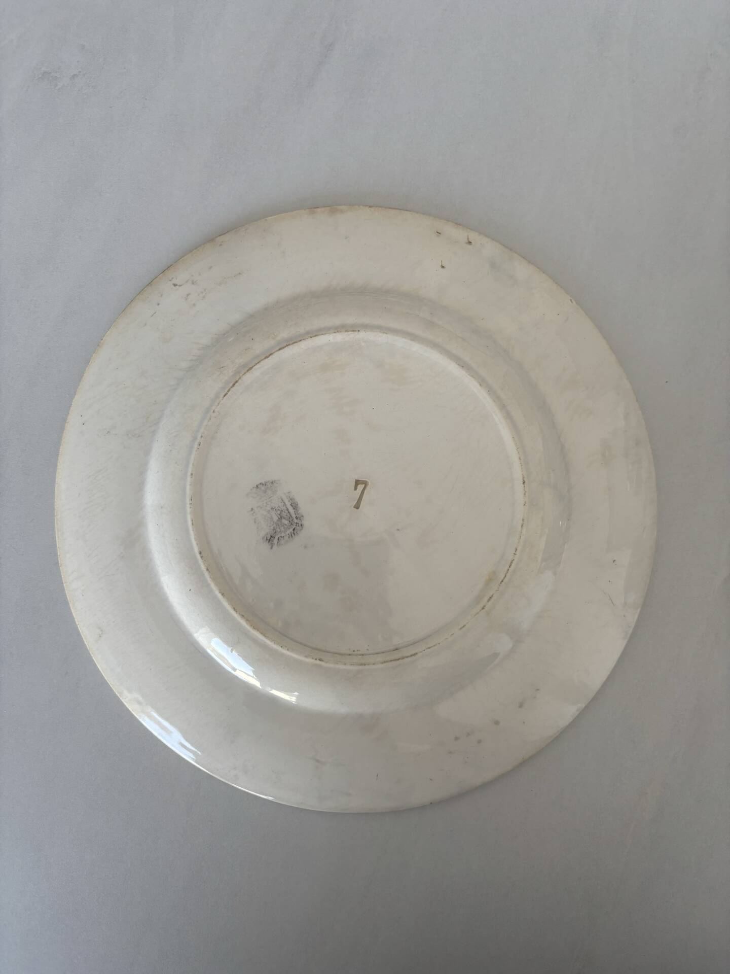 Flat plate, ironstone, Sarreguemines, blue flower - antique earthenware.