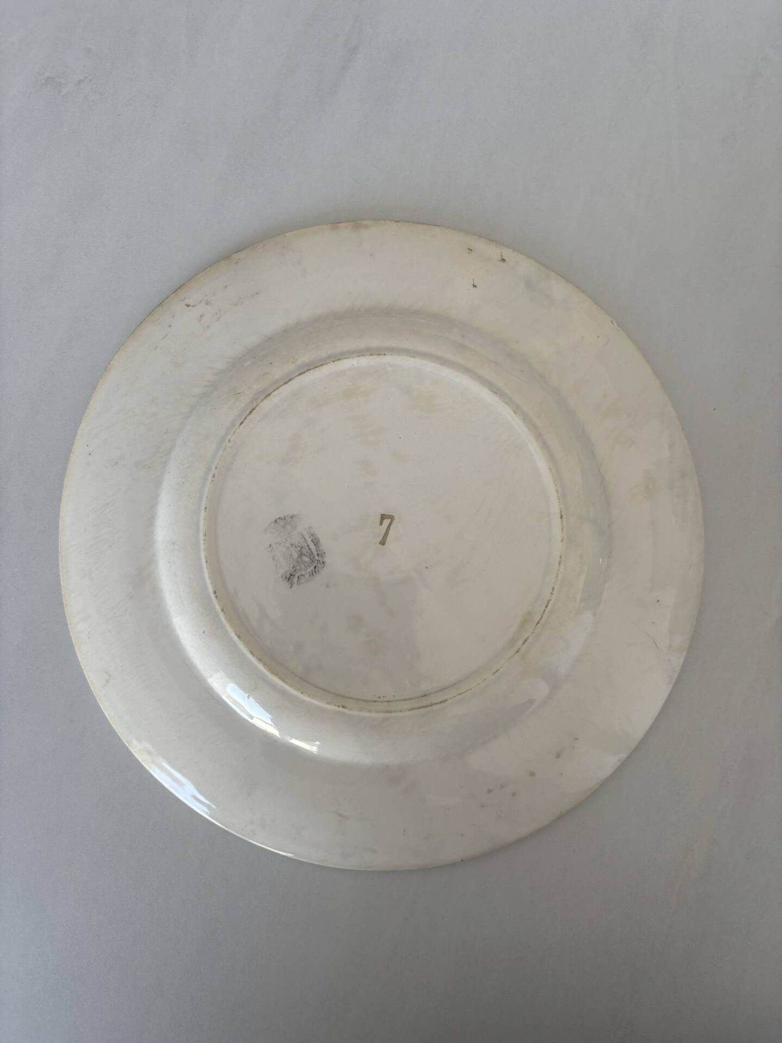 Assiette plate terre de fer sarreguemines fleur bleu- faïence ancienne
