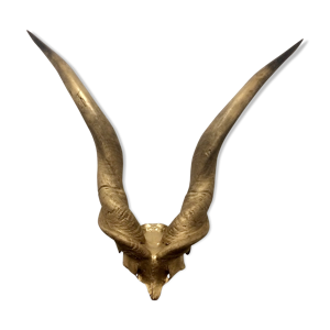 Trophée élan de derby - antilope