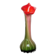 Vase Verre Murano Lys Calla - soufflé côtelé floriforme - Italie - Art déco - 1970-1980