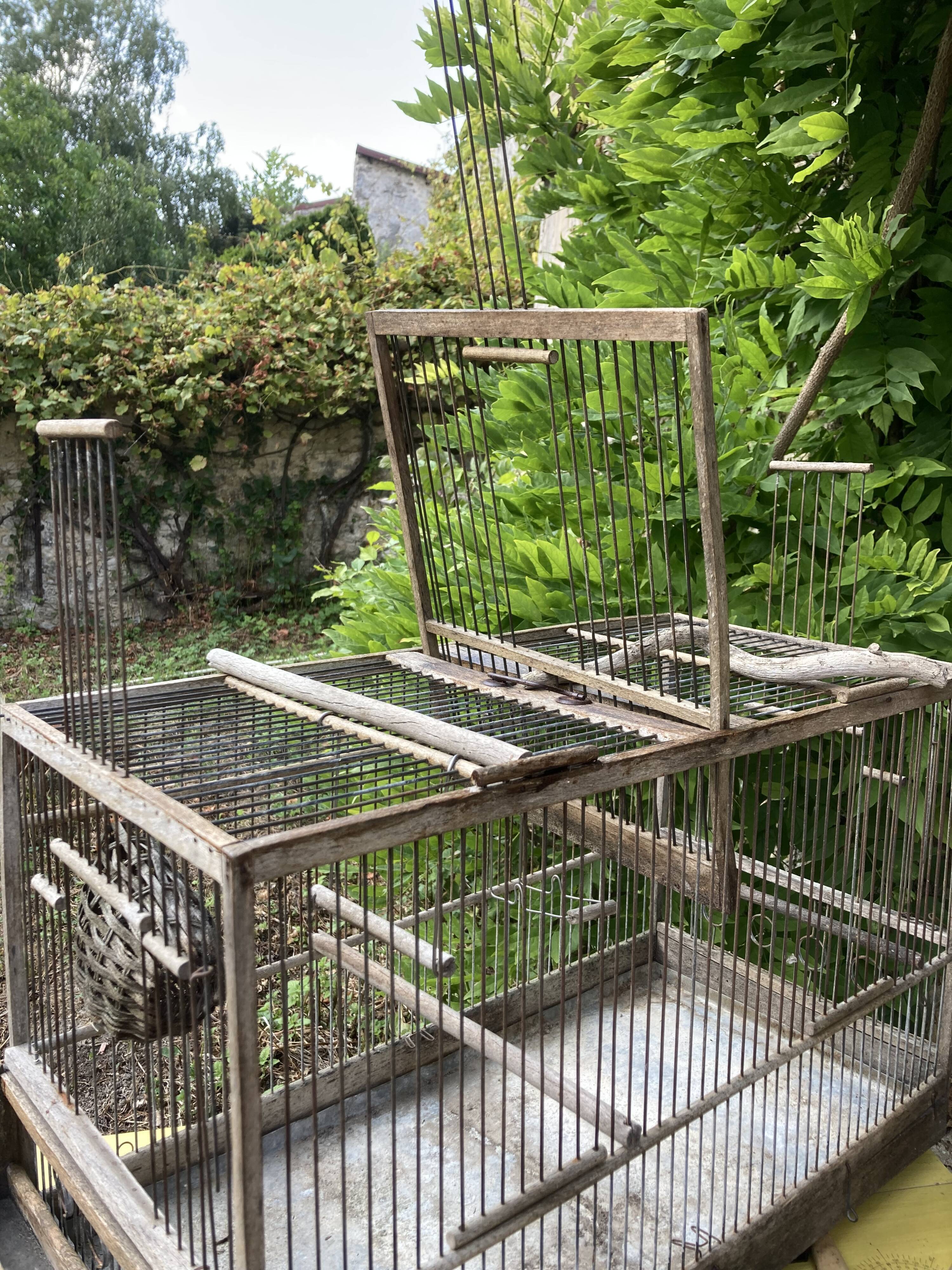 Cage double à oiseaux ancienne en bois et zinc
