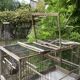 Cage double à oiseaux ancienne en bois et zinc