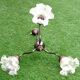 1970s chandelier with 3 light arms and frilled tulips