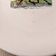 Vintage Faience Hollow Dish - Masina - Trotteur - Prix D'Amérique