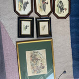 Set of hunting engravings