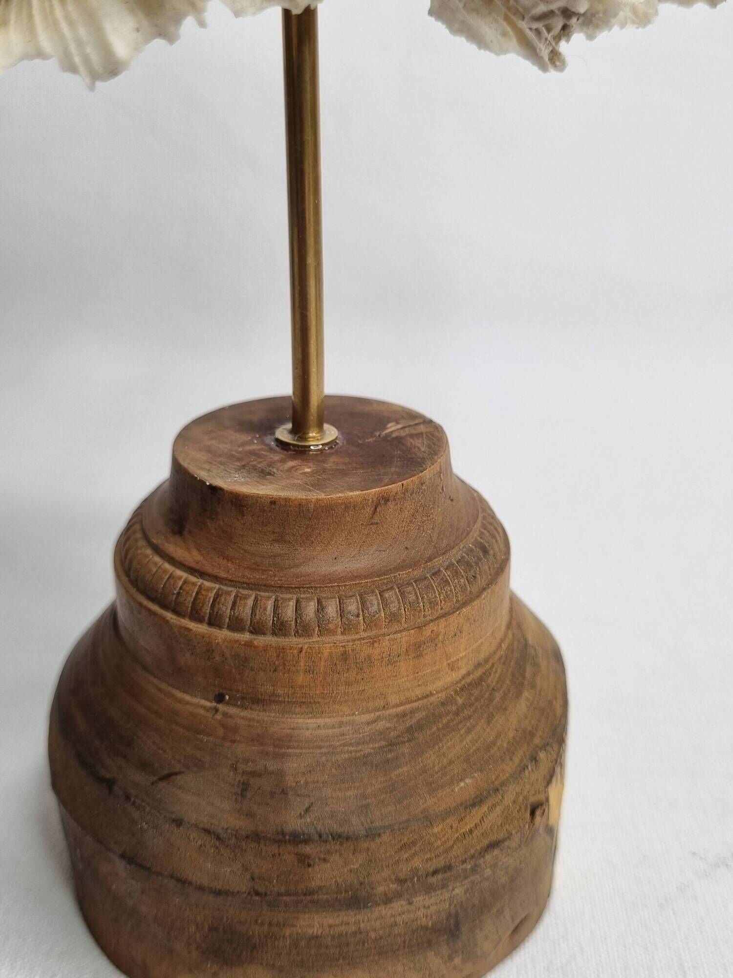 Antique white coral mounted on a turned wooden base – Height 22 cm
