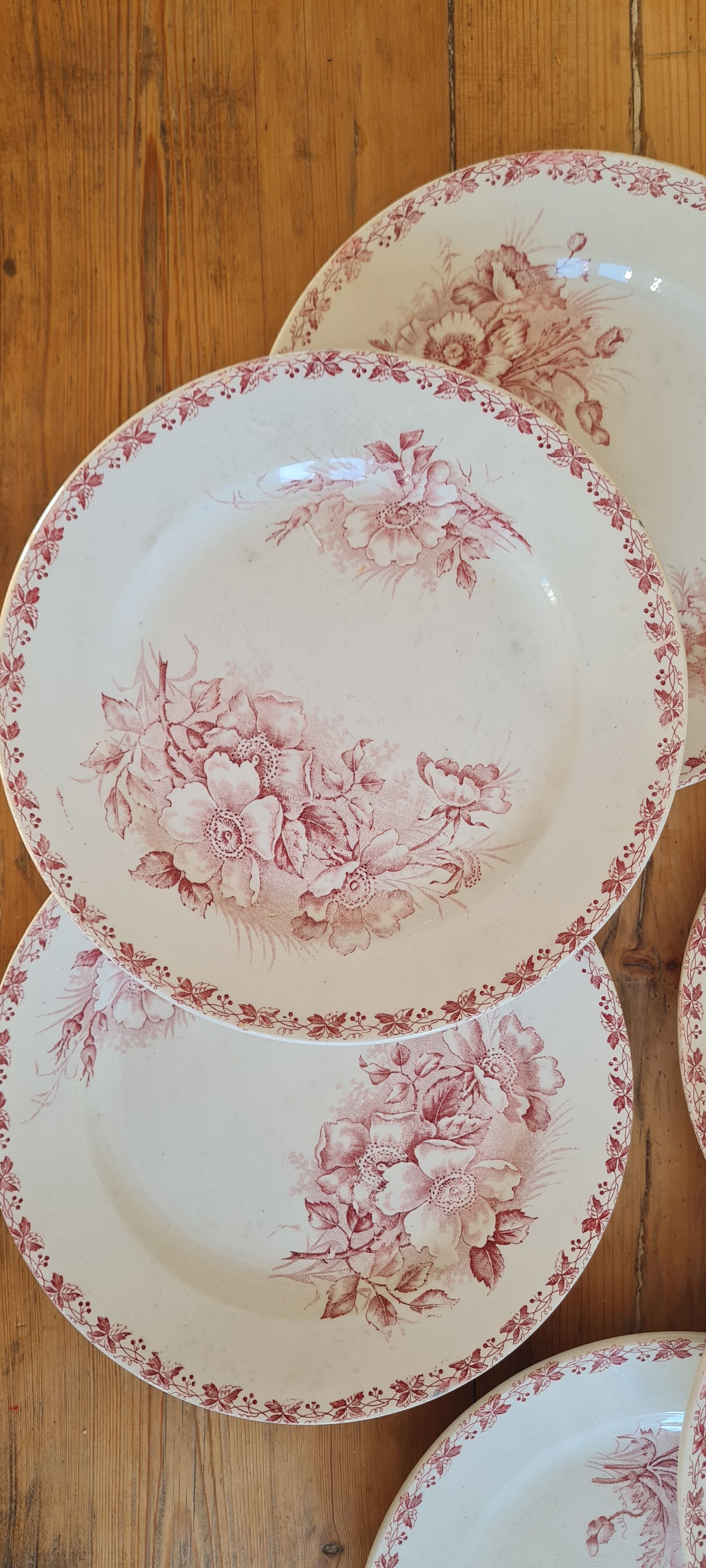 Serving of 6 plates in iron earth