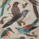 Louis Delapchier: Bee-eater, Roller and Kingfisher, original signed watercolor