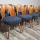 Dining Chairs by Antonin Suman, 1960s, Set of 10