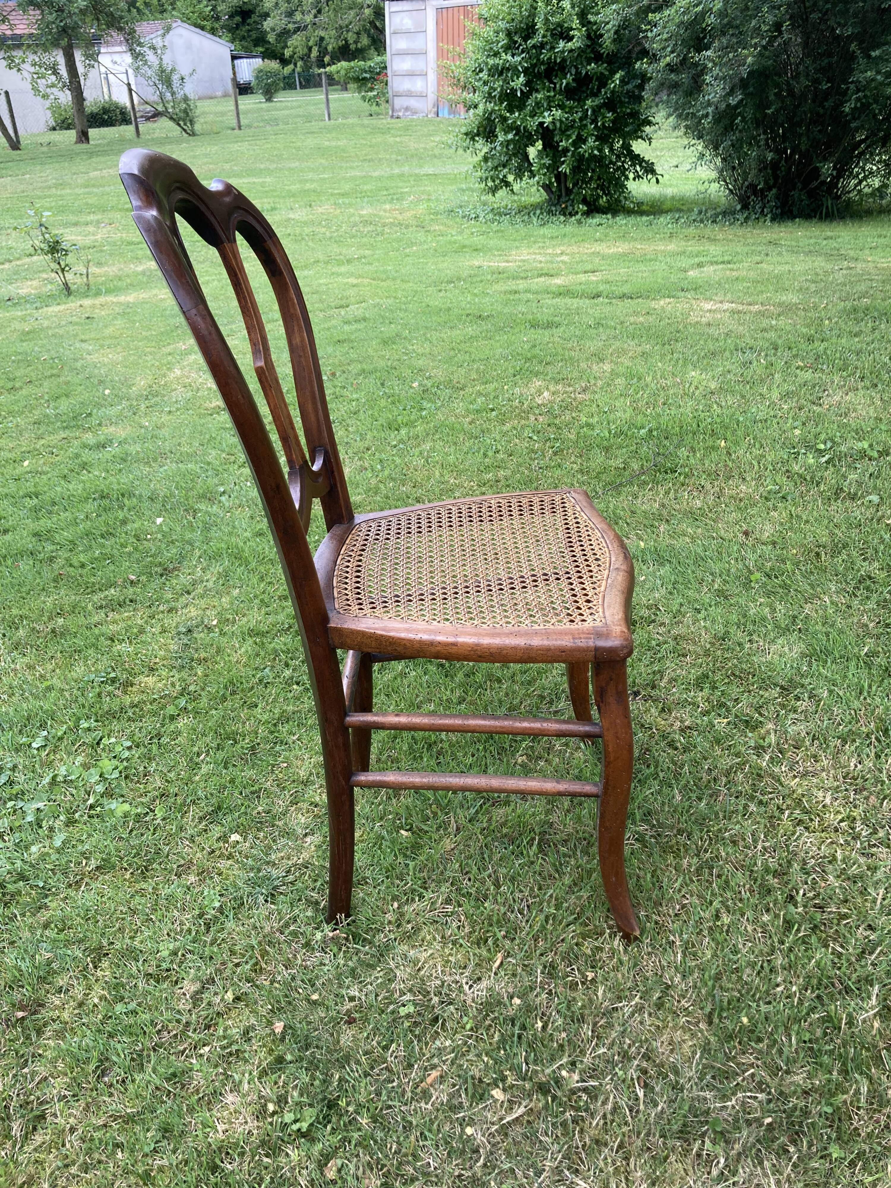 6 louis philippe cannate chairs