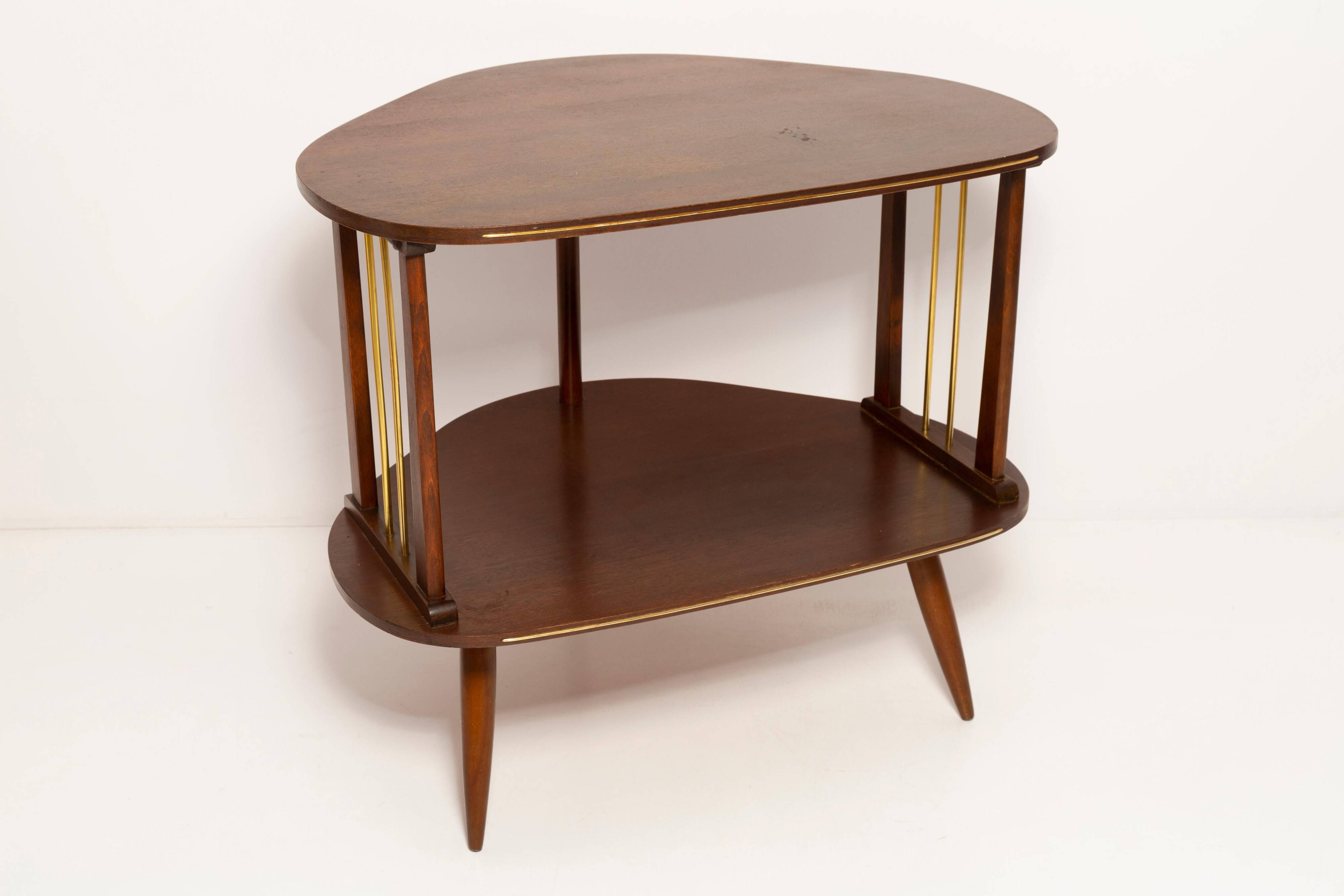 Vintage Mid-Century Modern beech wood TV side table, Poland, 1960s