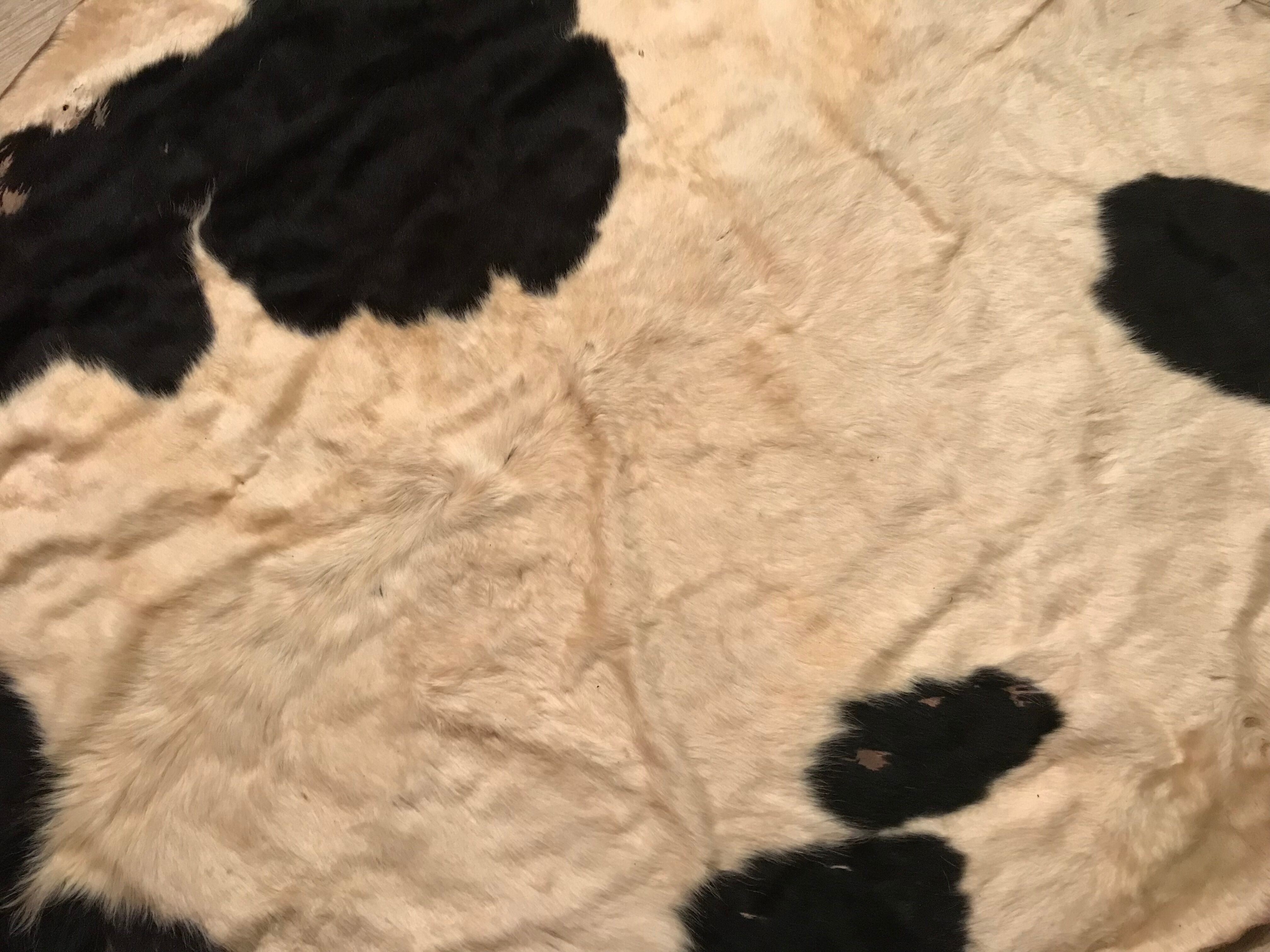 Carpet vintage skin of cow 200x150cm