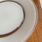 Set of 6 colored glass plates