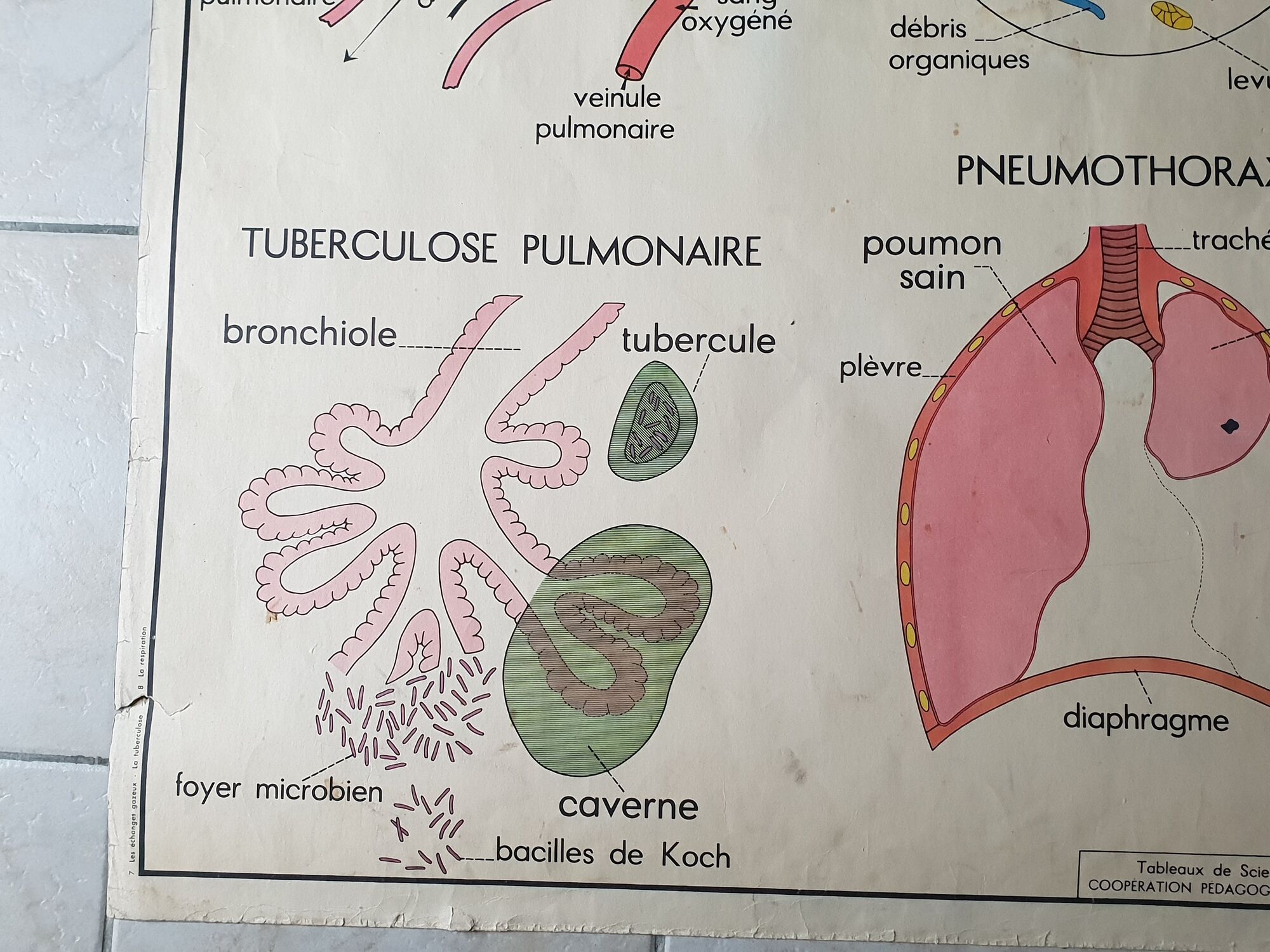 School poster Rossignol
