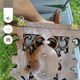 2 magnificent consoles/shelves in carved wood "FROM THE BLACK FOREST"