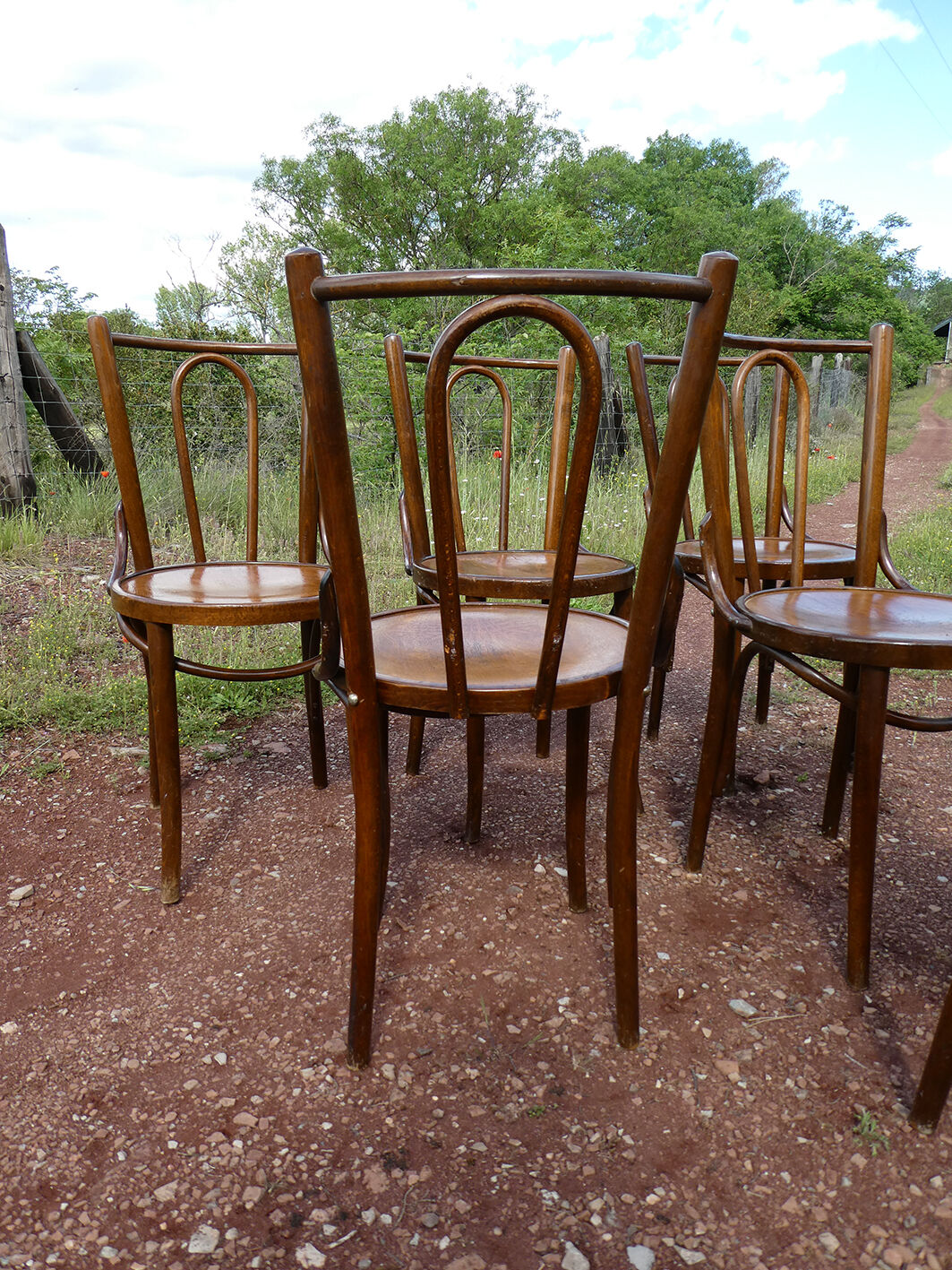 Lot of 8 Art Deco bistro chairs seated screen-printed