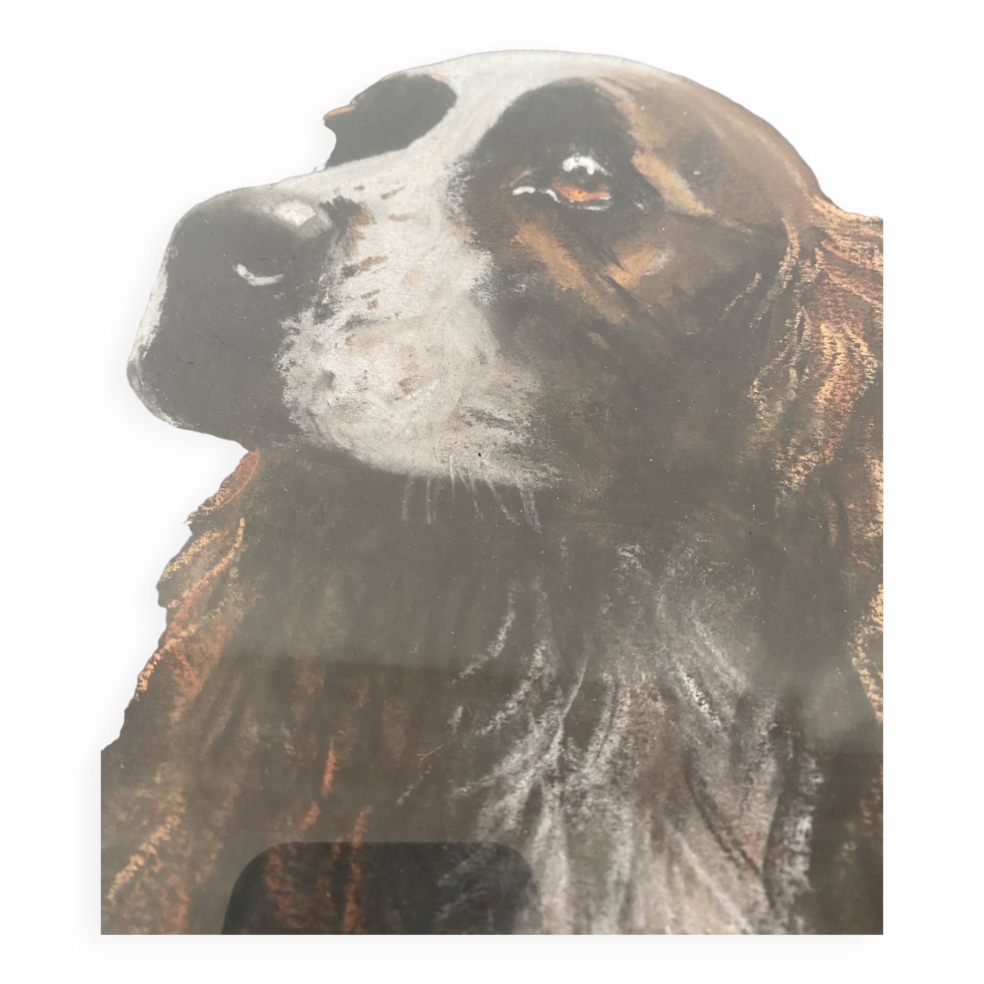 Framed pastel English Springer Spaniel dog