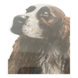Framed pastel English Springer Spaniel dog