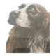 Framed pastel English Springer Spaniel dog