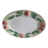 Plat barbotine
