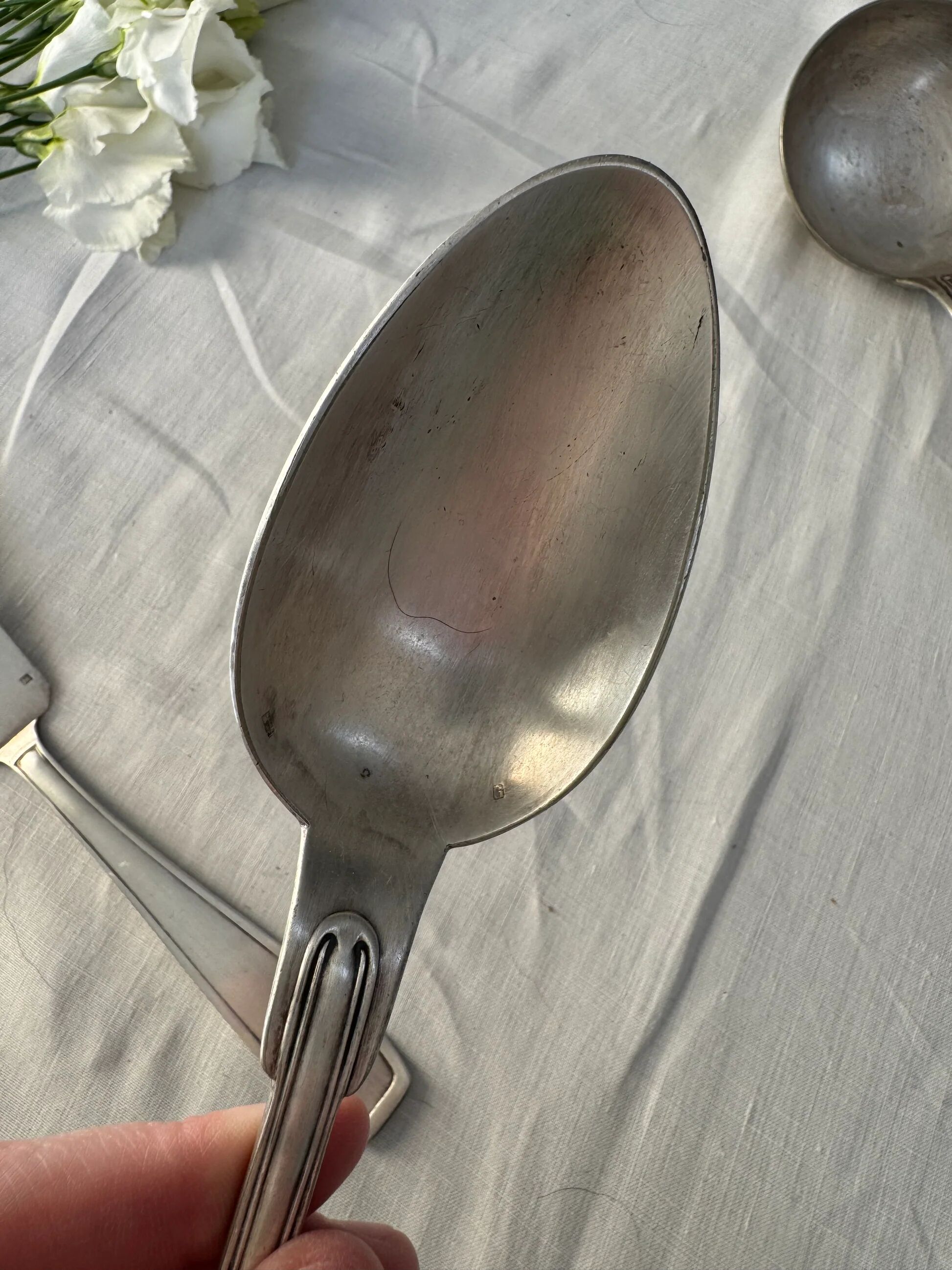 Silver-plated metal cutlery set