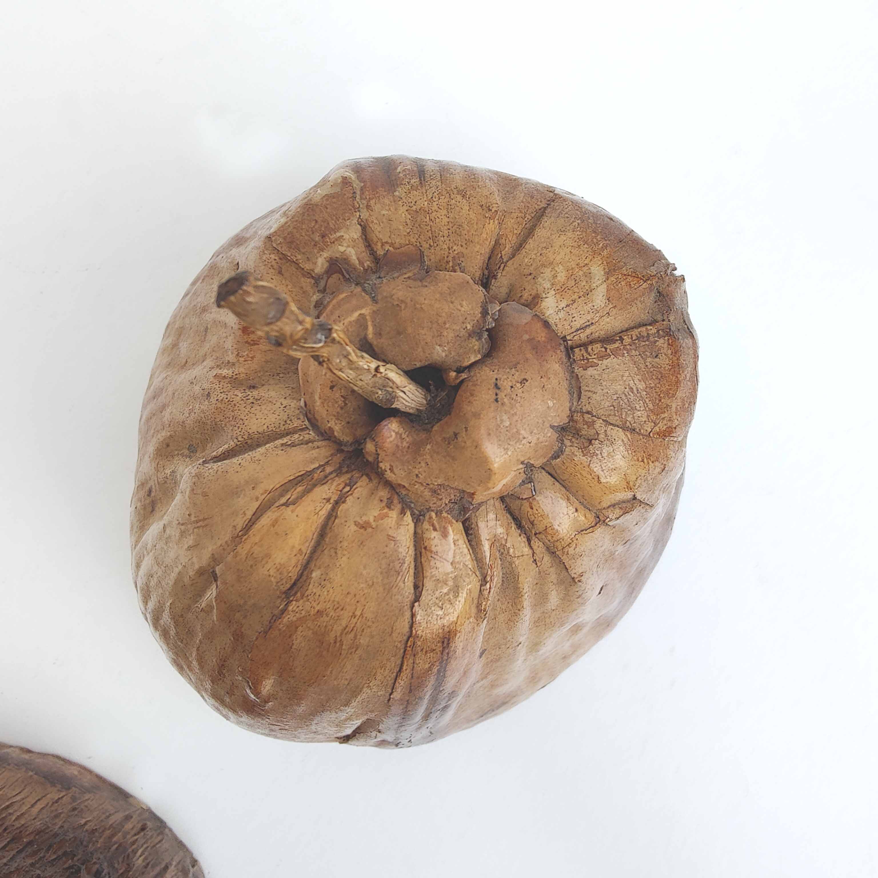 Vintage coconut ice bucket