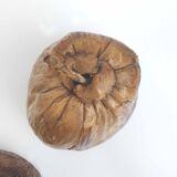 Vintage coconut ice bucket