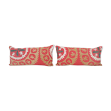 Pair of cushions