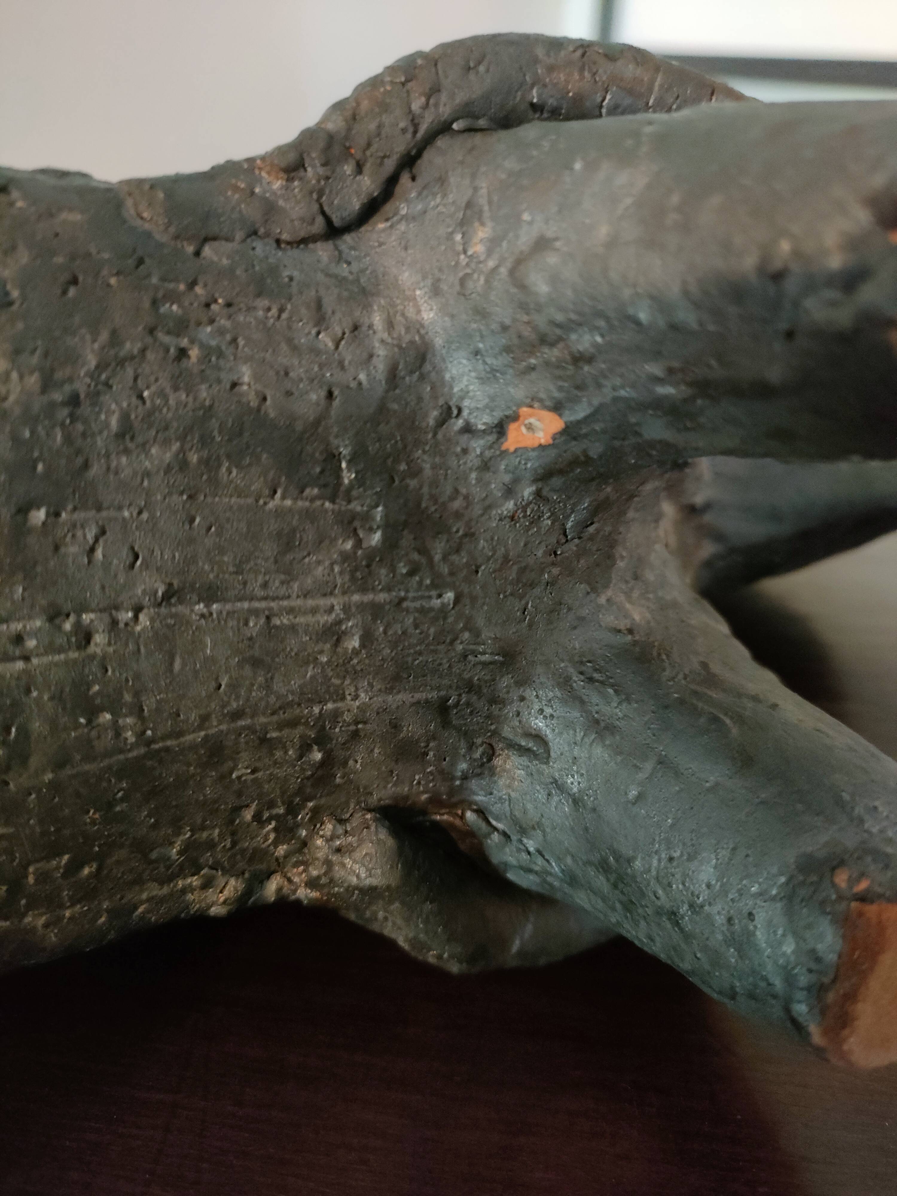 Dominique Pouchain - Rhinoceros