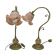 Duo de lampes en laiton