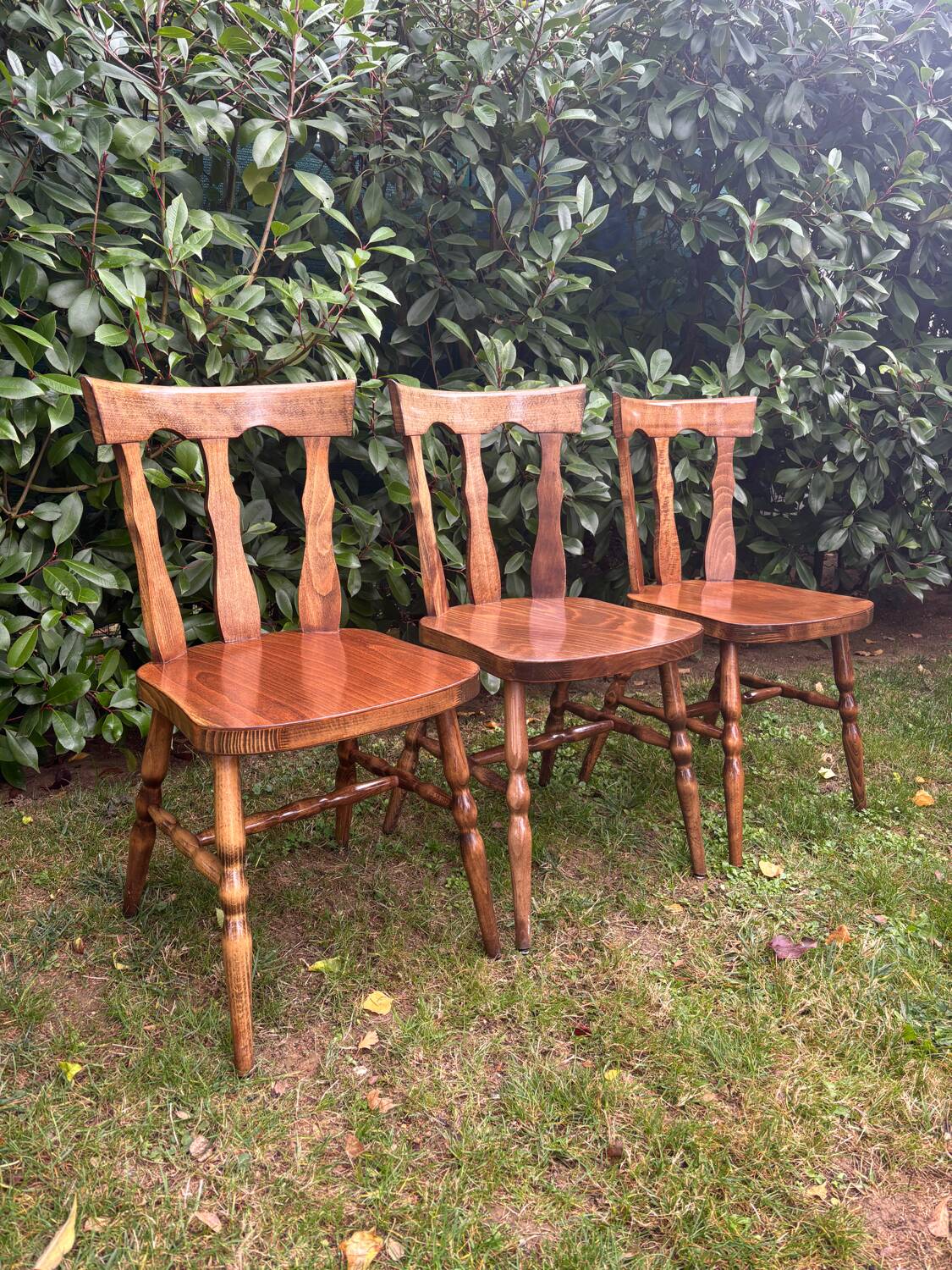 Baumann bistro chairs