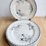 8 flat plates - Ironstone - Choisy-le-Roi