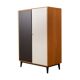 Wardrobe from the 1950s