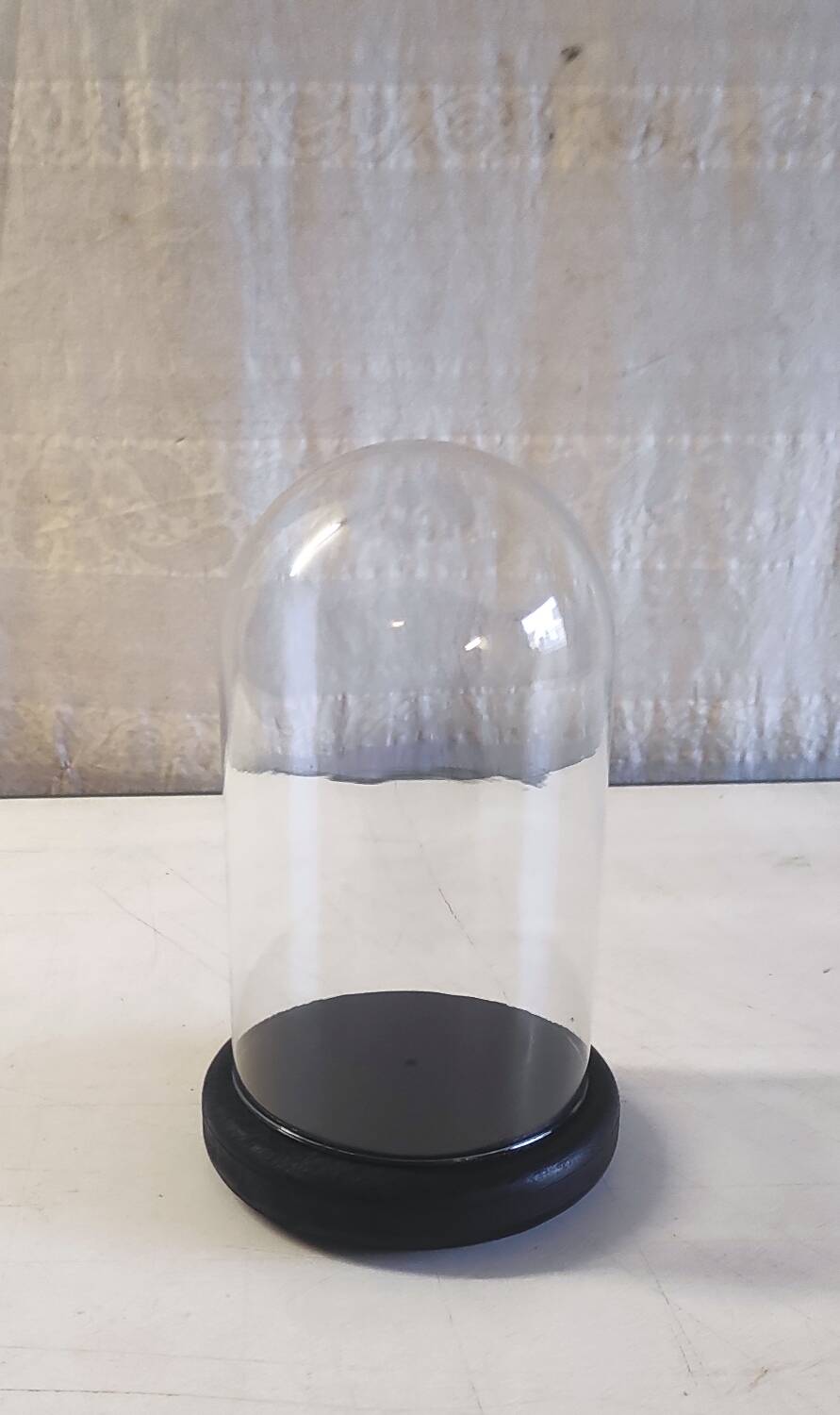 Glass globe and black wooden base - mid 20th century