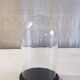 Glass globe and black wooden base - mid 20th century