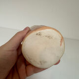 Vase rouleau herbier meilleur ouvrier de France 1970