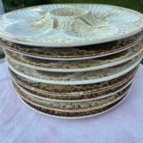 Oyster plates