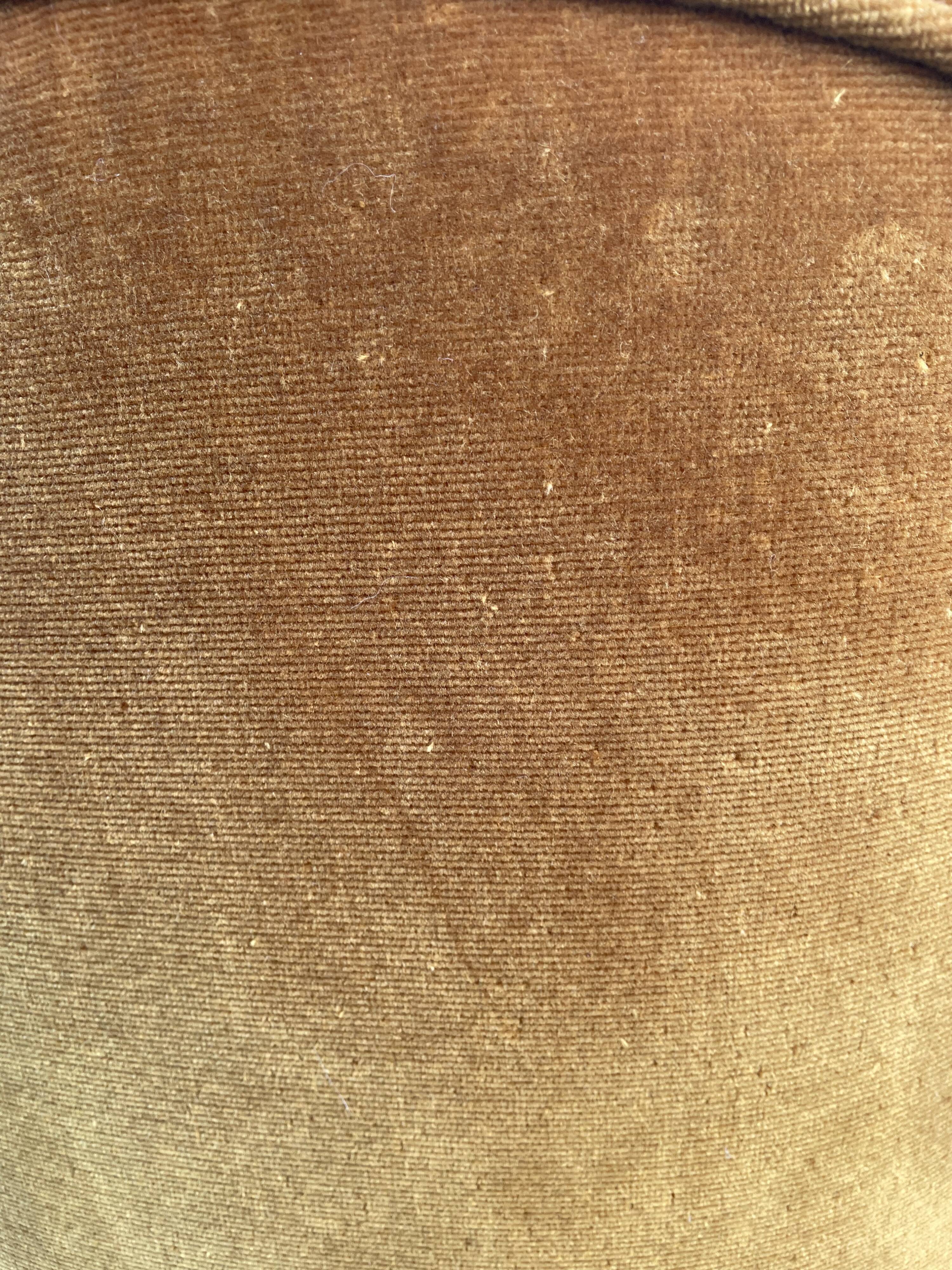 Padded golden yellow velvet toad