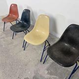 Lot of 4 Eames DSS chairs in fibre H Miller