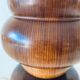 Organic rosewood lamp
