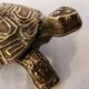 Turtle boîte