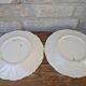 Set of 2 antique hand painted floral pattern plates
