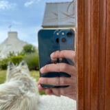 Mirror, Louis-Philippe style